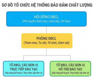 Sơ đồ tổ chức hệ thống bảo đảm chất lượng Trường Đại học Nguyễn Tất Thành